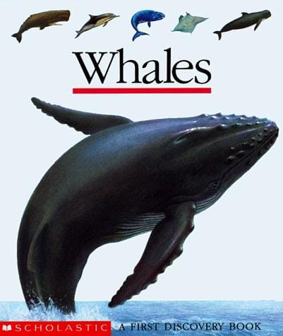 Whales