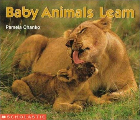Baby animals learn