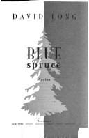 Blue spruce