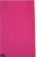 Ten Indian writers in interview