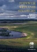 Statewide wetlands strategies
