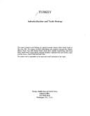 Turkey, industrialization and trade strategy