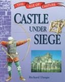 Castle Under Siege (The Age of Castles)