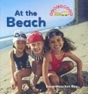 At the Beach (Benchmark Rebus)