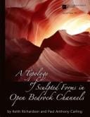 A typology of sculpted forms in open bedrock channels