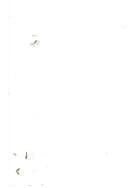 Geophilosophie. Neitzsches philosophische Geographie