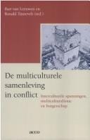 De multiculturele samenleving in conflict