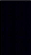 Deutschland im Luftkrieg: Geschichte und Erinnerung