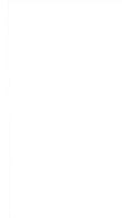 Das Parlament im Anstaltsstaat