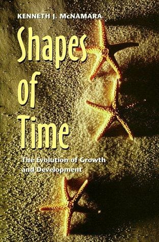 Shapes of time