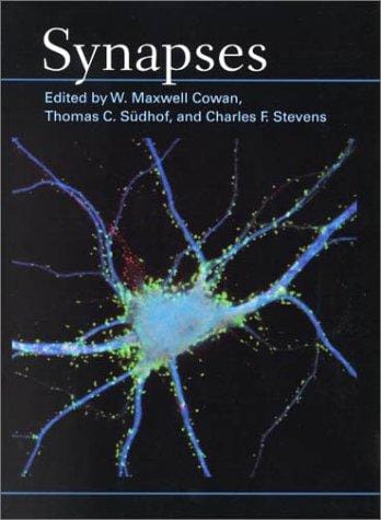 Synapses