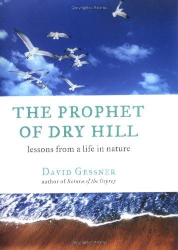 The Prophet of Dry Hill