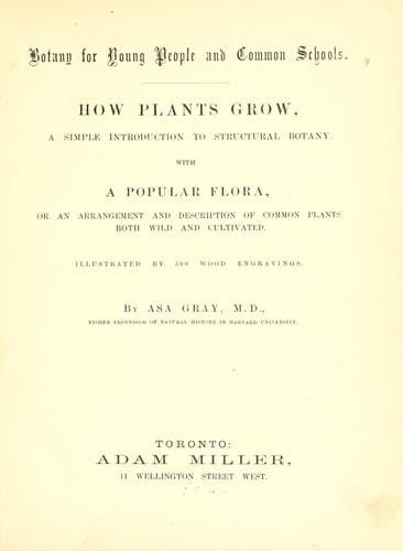 How plants grow