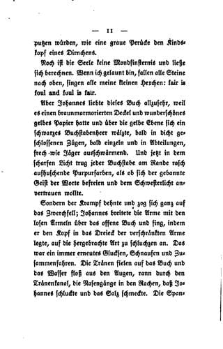 Der schwarze Vorhang: Roman von den Worten und Zufällen
