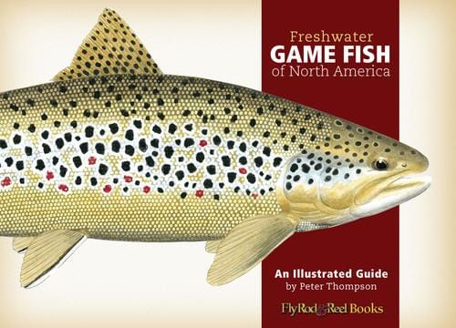 Freshwater game fish of North America