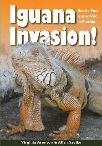 Iguana invasion!