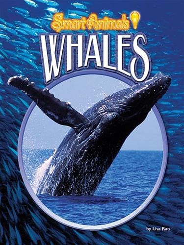Whales