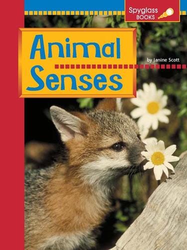 Animal Senses