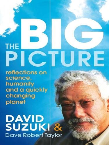 The Big Picture