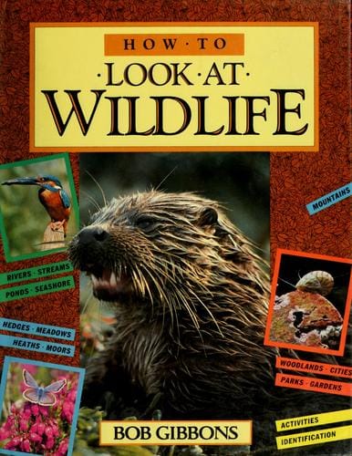 How to look at wildlife.
