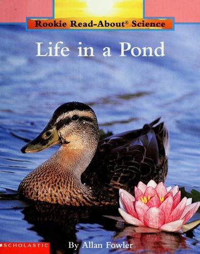 Life in a pond