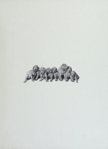 William Wegman's Puppies