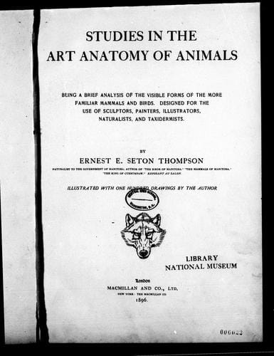 Studies in the art anatomy of animals