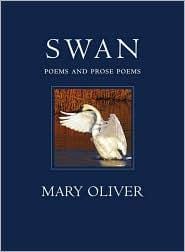 Swan