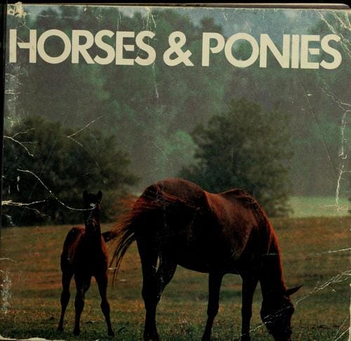 Horses & ponies