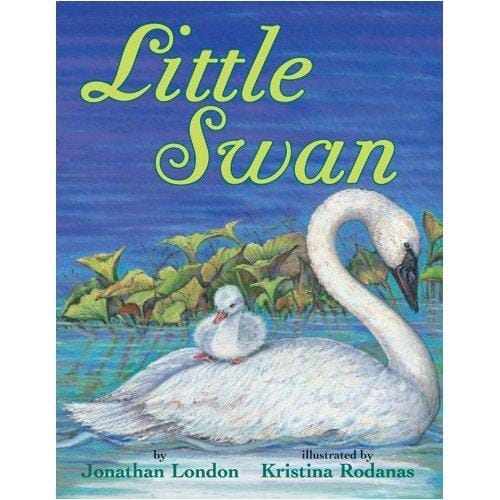 Little swan