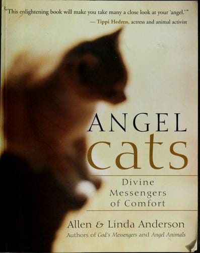 Angel cats