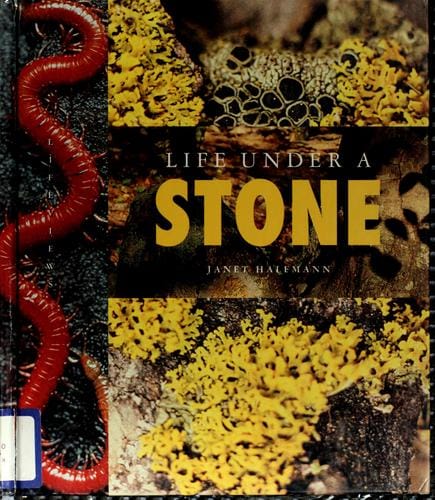 Life under a stone