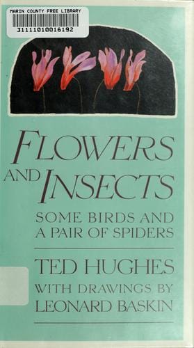 Flowers and insects