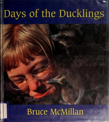 Days of the ducklings