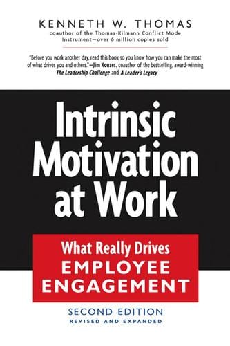 Intrinsic Motivation at Work 2nd
