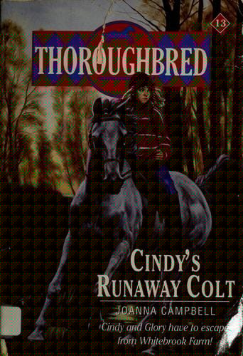 Cindy's runaway colt