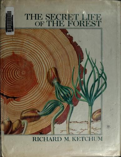 The secret life of the forest