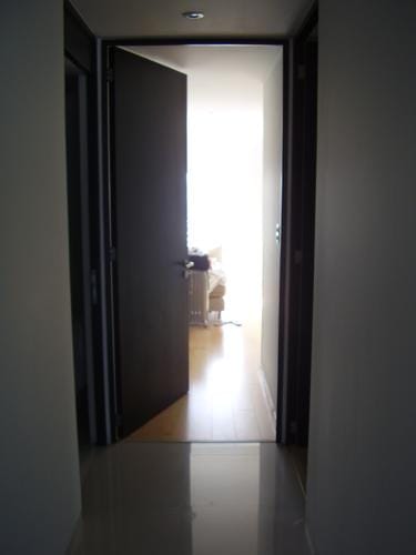 Arte contemporânea brasileira