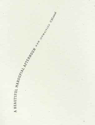 A beautiful marsupial afternoon