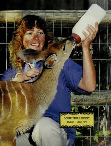 Inside the zoo nursery