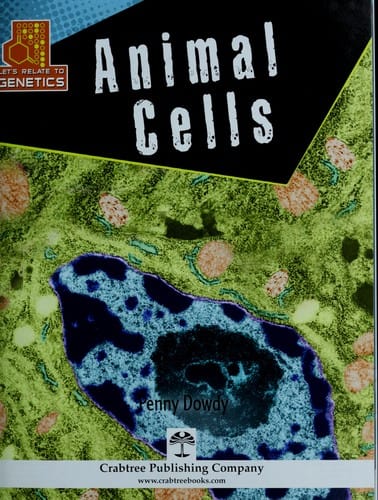 Animal cells