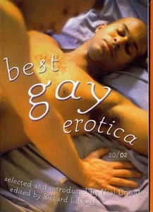 Best gay erotica 2002