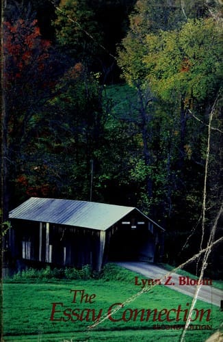 The Essay connection