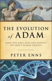 The evolution of Adam