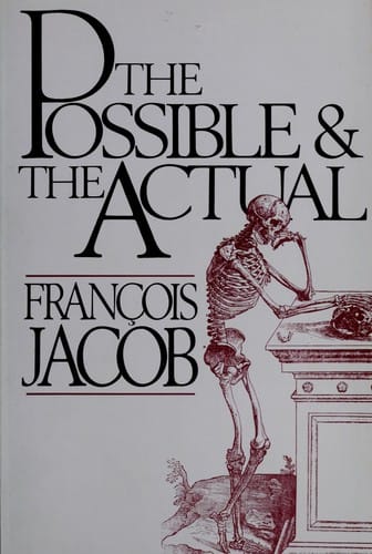 The possible and the actual