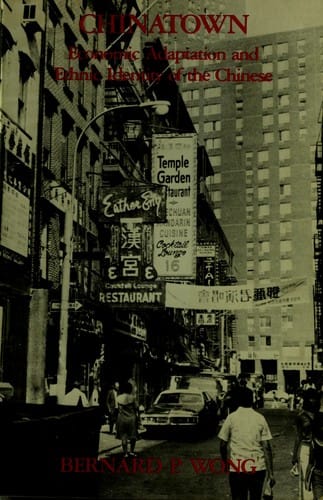 Chinatown, economic adaptation and ethnic identity of the Chinese
