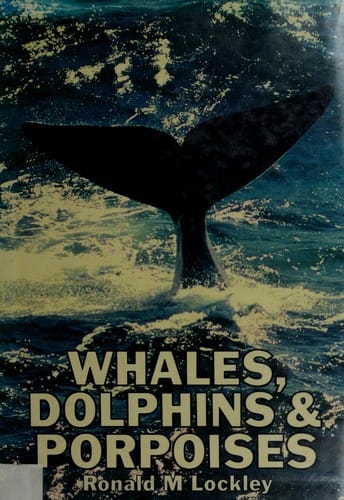 Whales, dolphins and porpoises