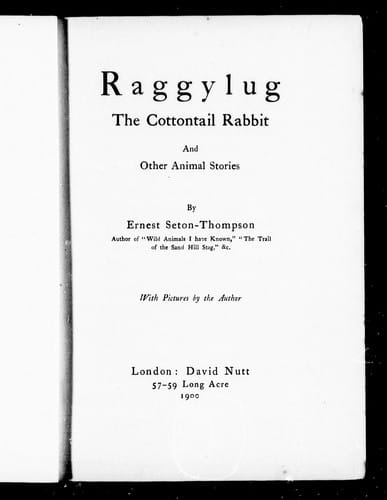 Raggylug, the cottontail rabbit
