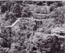 Telok Blangah Hill Park (A Survey)