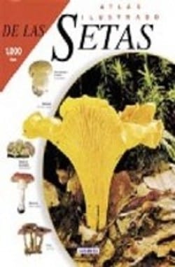 Atlas ilustrado de setas